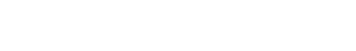 Pioneer logo