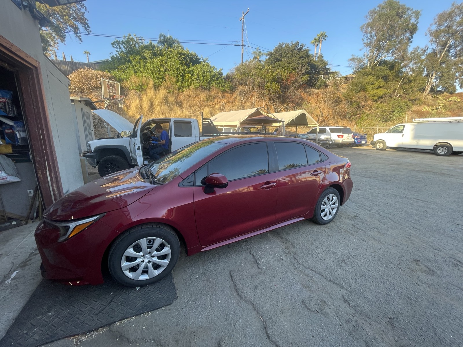 Toyota Corolla window tint